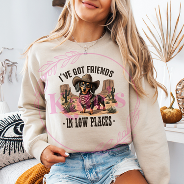 I've Got Friends In Low Shirt